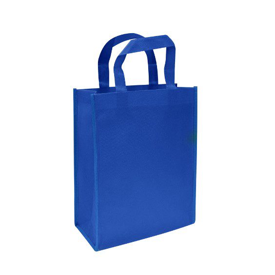 BOLSA REUTILIZABLE 25x30x8cm. - Imagen 2
