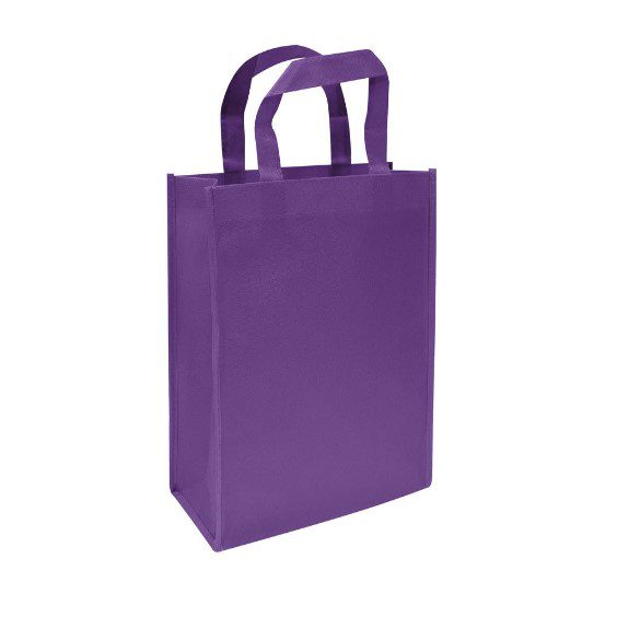 BOLSA REUTILIZABLE 25x30x8cm. - Imagen 5