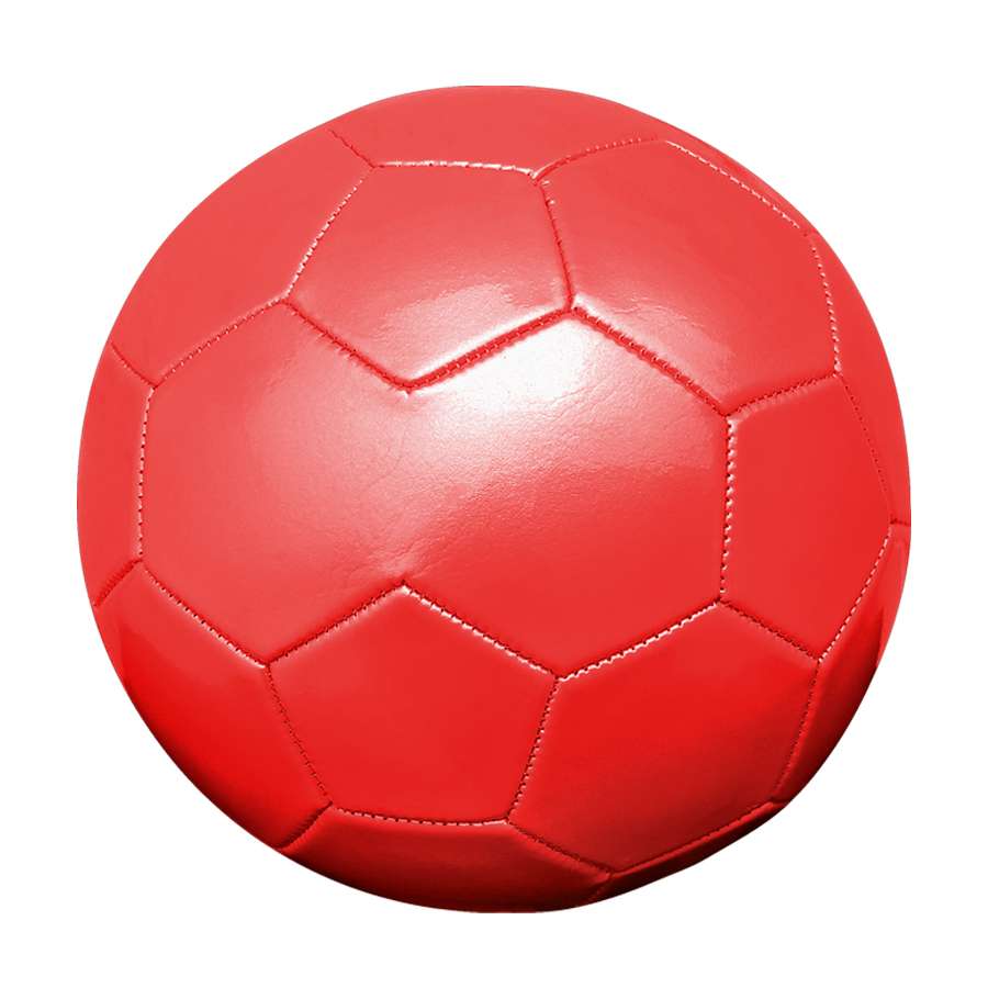 BALÓN DE FÚTBOL N°5