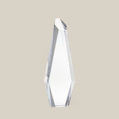 TROFEO "WINNER"